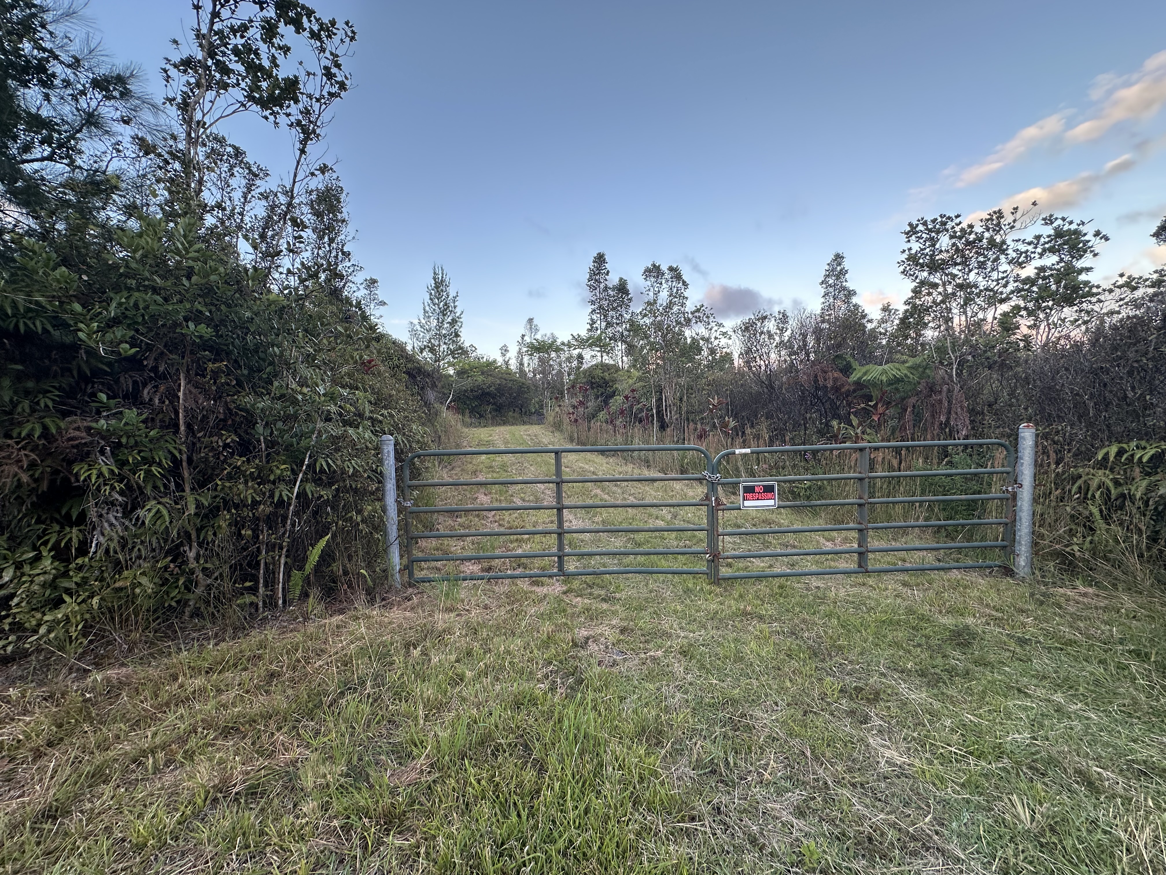 Gated driveway