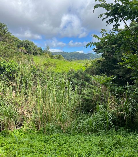 Photo of Puuwai Rd, Kalaheo, HI 96741 (MLS # 726060)