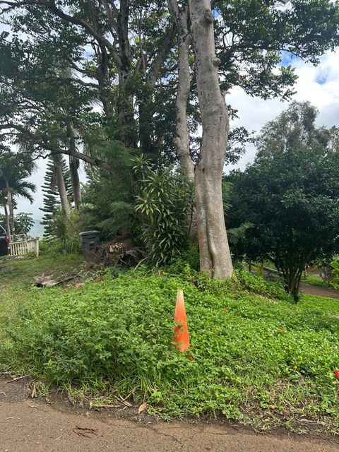 Photo of Puuwai Rd, Kalaheo, HI 96741 (MLS # 726060)