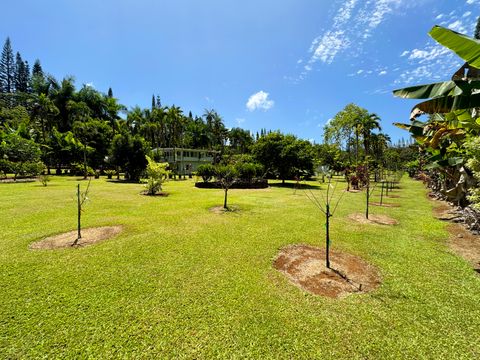 Photo of 29-3707 Kanna Road, Hakalau, HI 96710 (MLS # 720947)