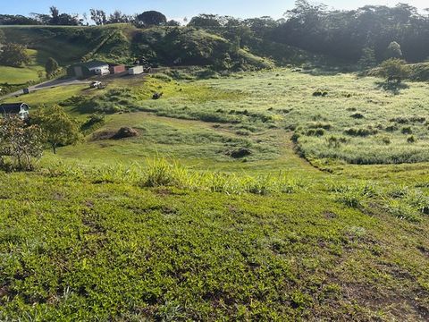 Tiny photo for Kipapa Rd, Kapaa, HI 96746 (MLS # 725075)