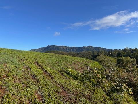 Tiny photo for Kipapa Rd, Kapaa, HI 96746 (MLS # 725075)