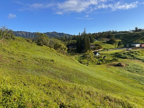 Tiny photo for Kipapa Rd, Kapaa, HI 96746 (MLS # 725075)