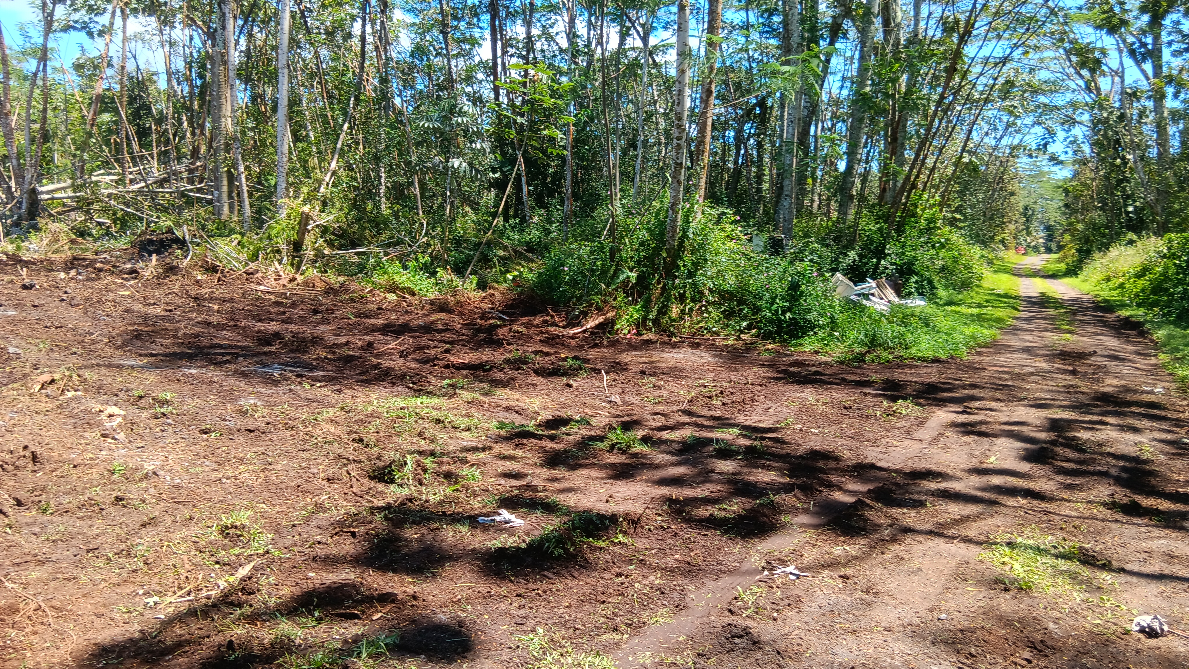 Photo 1 of 6 — PLUMERIA RD, Pahoa, HI 96778