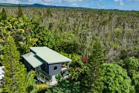 Photo of 12-7002 Hoeunalu St, Pahoa, HI 96778 (MLS # 726610)