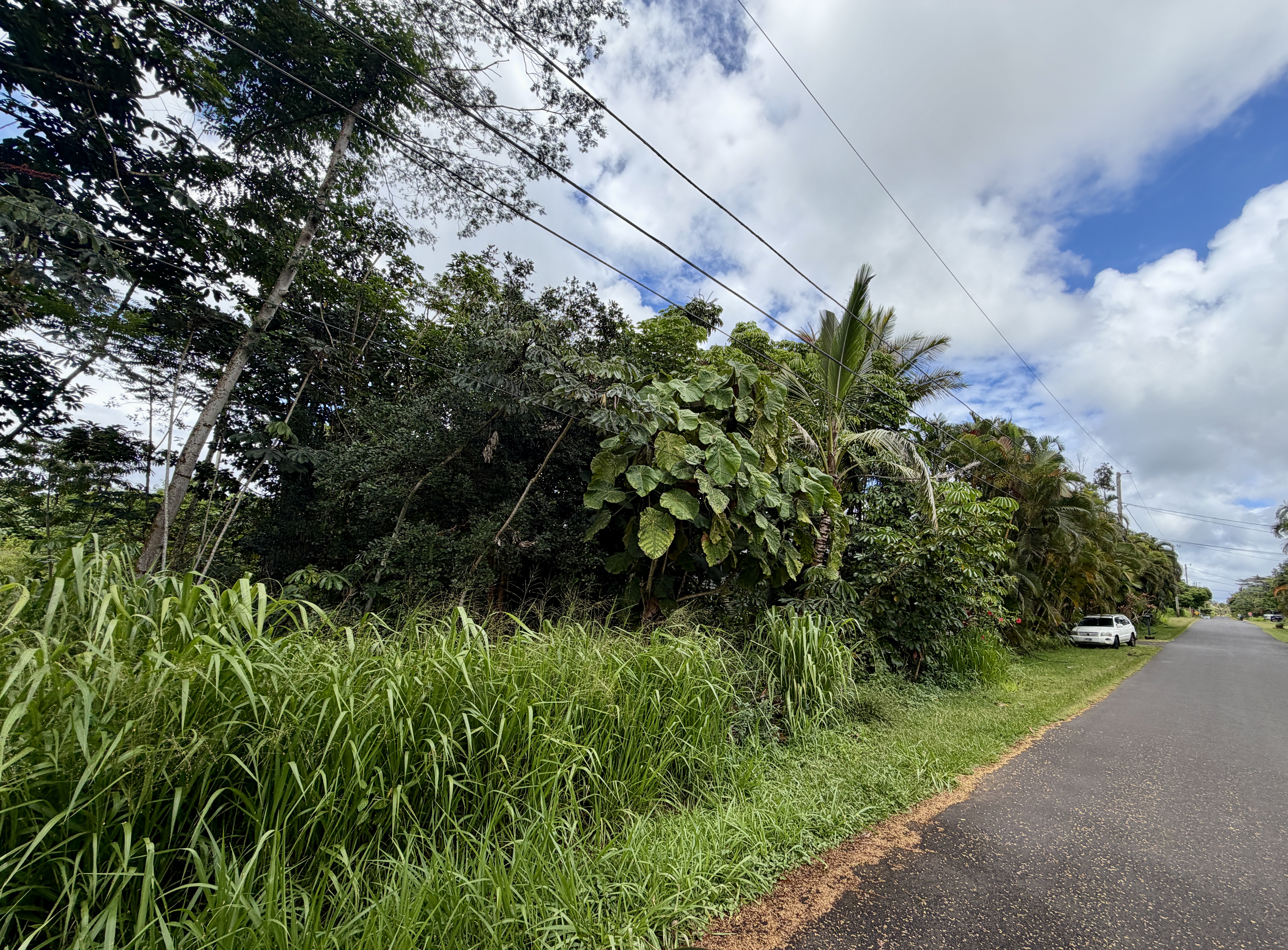 Photo 1 of 2 — LALAKEA ST, Pahoa, HI 96778