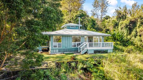 Photo of 43-1966 Paauilo Mauka Rd, Honokaa, HI 96727 (MLS # 728829)