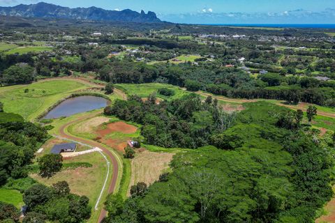 Tiny photo for 5297-A Iana Pl, Kapaa, HI 96746 (MLS # 729885)
