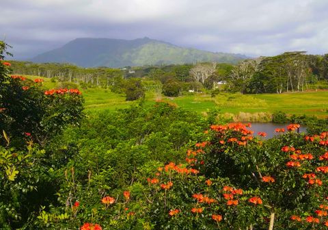 Tiny photo for #7E, Kapaa, HI 96746 (MLS # 729909)