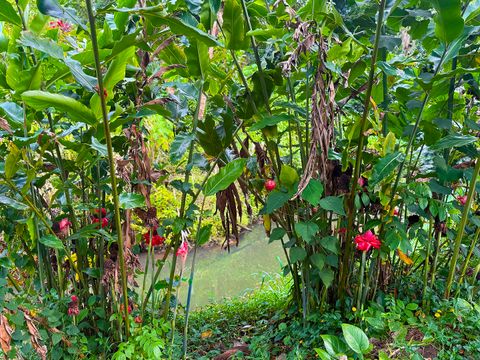 Tiny photo for 6546-D Kuamoo Rd #5, Kapaa, HI 96746 (MLS # 727774)