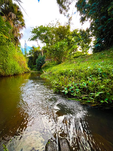 Tiny photo for 6546-D Kuamoo Rd #5, Kapaa, HI 96746 (MLS # 727774)