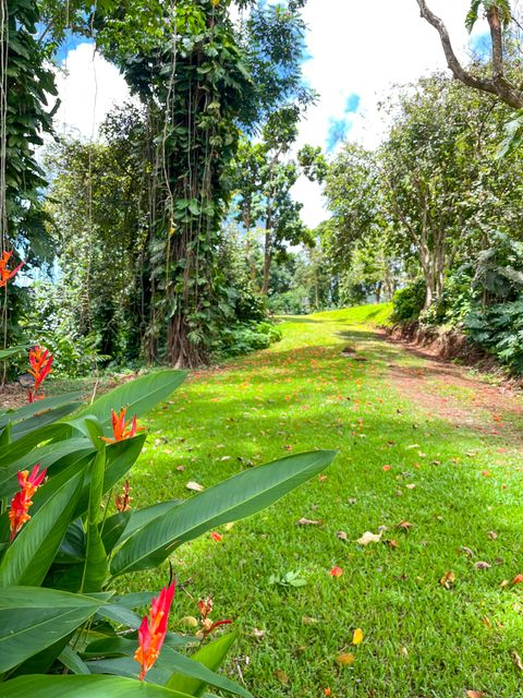 Tiny photo for 6546-D Kuamoo Rd #5, Kapaa, HI 96746 (MLS # 727774)