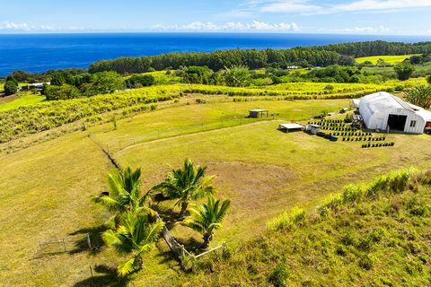 35-326 PAHALE RD Papaaloa HI 96780
