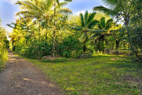 PAPAYA FARMS RD Pahoa HI 96778