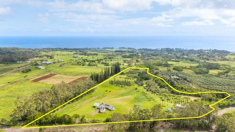 Photo of 28-568 Kaupakuea Homestead Rd, Pepeekeo, HI 96783 (MLS # 728236)