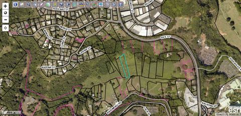 Tiny photo for Rice St, Lihue, HI 96766 (MLS # 725651)