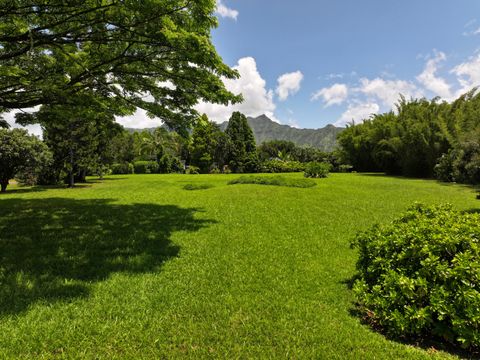 Tiny photo for Kahiliholo Rd, Kilauea, HI 96754 (MLS # 721539)