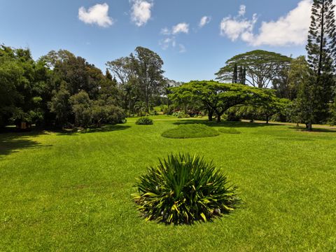 Tiny photo for Kahiliholo Rd, Kilauea, HI 96754 (MLS # 721539)