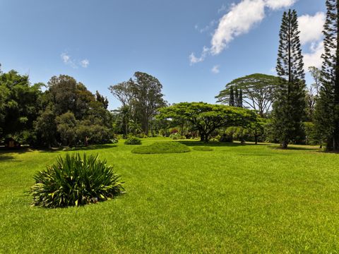 Tiny photo for Kahiliholo Rd, Kilauea, HI 96754 (MLS # 721539)
