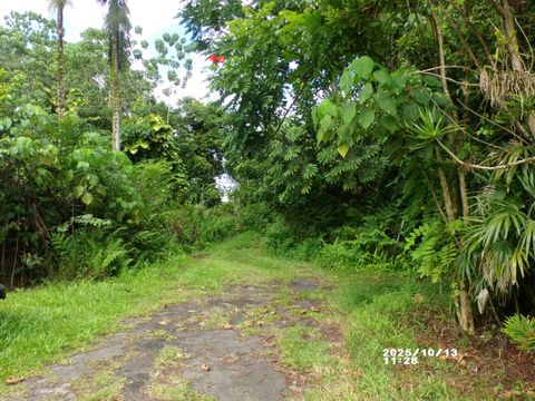 KEKAUONOHE ST Pahoa HI 96778