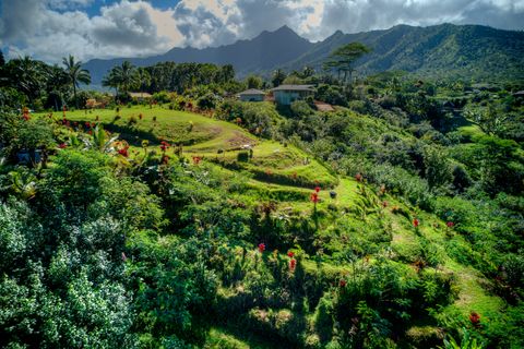 Tiny photo for Halaulani Pl, Kilauea, HI 96754 (MLS # 725709)