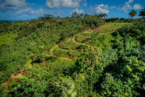 Tiny photo for Halaulani Pl, Kilauea, HI 96754 (MLS # 725709)