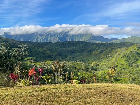 Tiny photo for Halaulani Pl, Kilauea, HI 96754 (MLS # 725709)