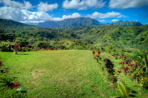 Photo of Halaulani Pl, Kilauea, HI 96754 (MLS # 725709)