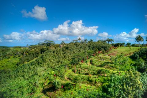 Tiny photo for Halaulani Pl, Kilauea, HI 96754 (MLS # 725709)