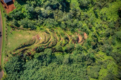 Tiny photo for Halaulani Pl, Kilauea, HI 96754 (MLS # 725709)