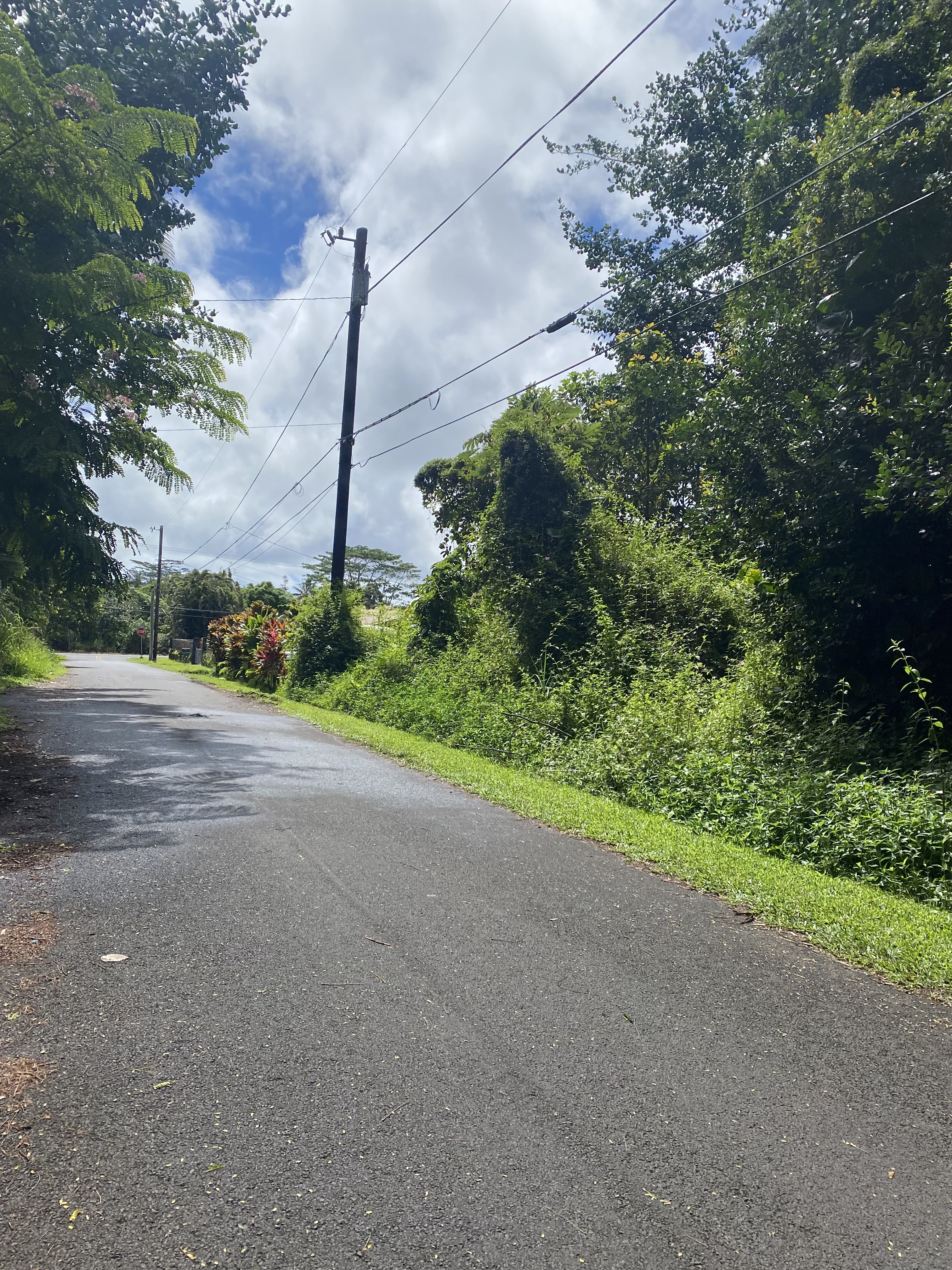 Photo 1 of 4 — HEEPALI ST, Pahoa, HI 96778