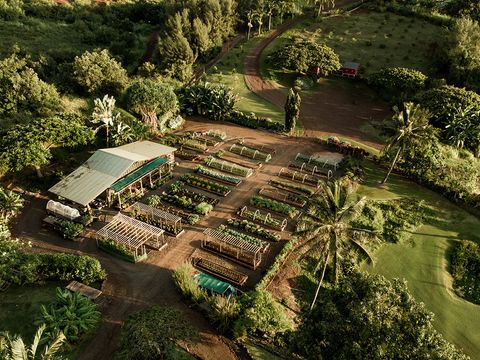 Tiny photo for 2736 Uluwehi St, Koloa, HI 96756 (MLS # 724995)