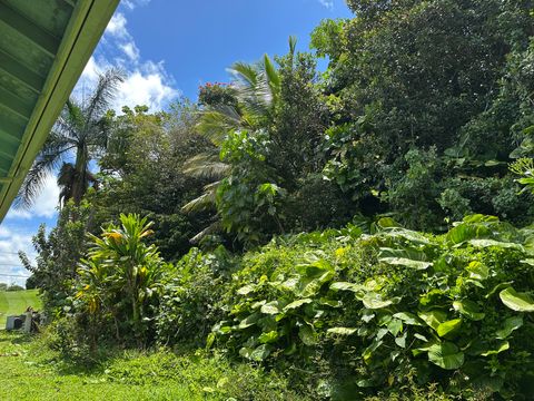 Tiny photo for Kalama Rd, Kapaa, HI 96746 (MLS # 729848)