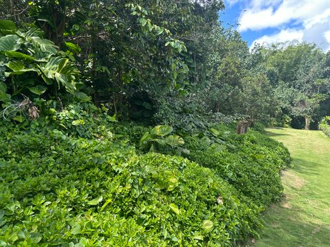 Tiny photo for Kalama Rd, Kapaa, HI 96746 (MLS # 729848)
