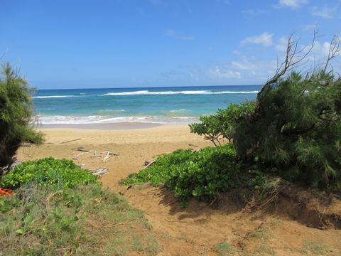 Tiny photo for 4460 Nehe Rd #118, Lihue, HI 96766 (MLS # 718334)