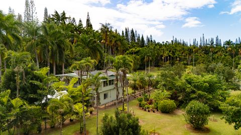 Photo of 29-3707 Kanna Road, Hakalau, HI 96710 (MLS # 726843)