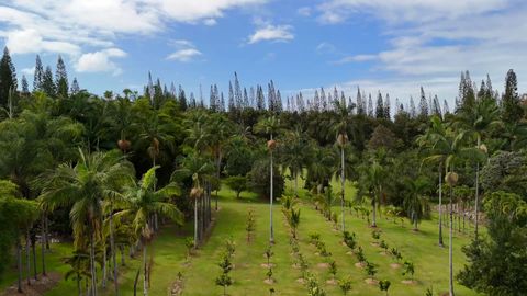 Photo of 29-3707 Kanna Road, Hakalau, HI 96710 (MLS # 726843)
