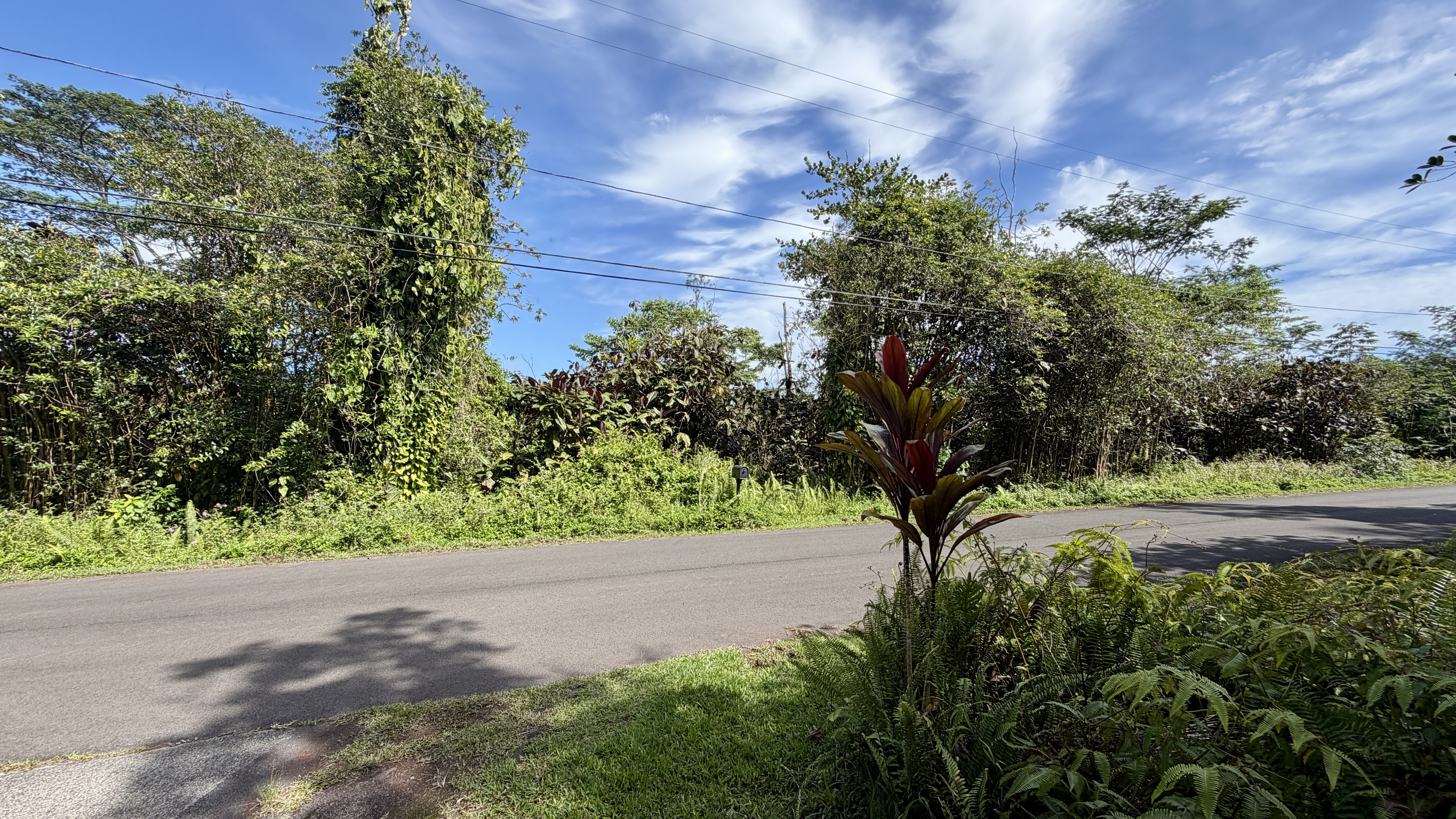 Located in a quiet part of the subdivision with a mix of established homes and vacant lots