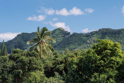 Tiny photo for 6546-D Kuamoo Rd #3, Kapaa, HI 96746 (MLS # 727802)