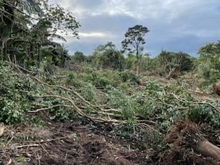 62 HALE MANU DR, HILO, HI 96720 - Image a6b0585f2ccddcd5a8e0fe6a81e52842/368715860