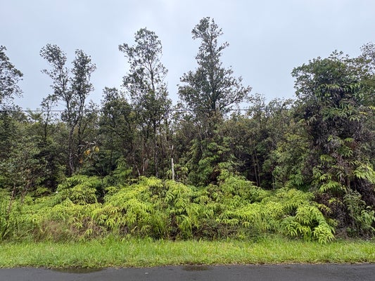 OHIA AVE, MOUNTAIN VIEW, HI 96771 - Image a6c5b237acb5daf897ea3d0a6a4ed65e/4077624427