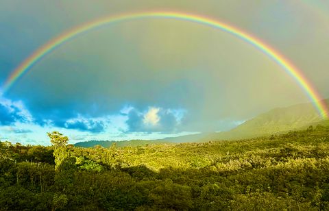 Tiny photo for 2540-C Halaulani Rd, Kilauea, HI 96754 (MLS # 724967)