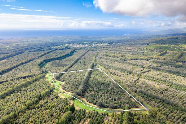 WOOD VALLEY RD, PAHALA, HI 96777 - Image a7db6a6f58d2af51da55e5bc7ea4e85f/2940667356
