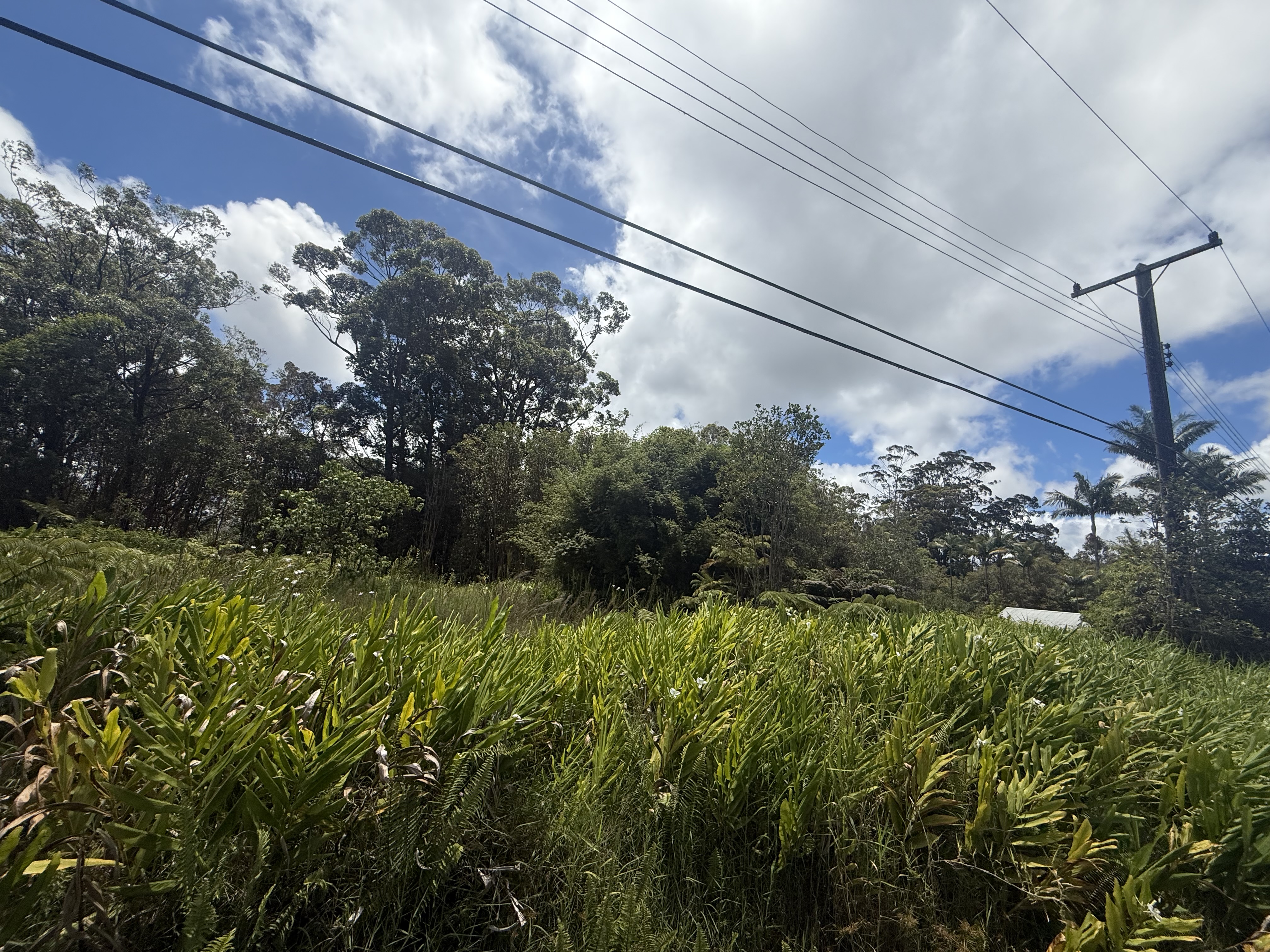 Photo 1 of 5 — 18-1977 OHIA NANI RD, Volcano, HI 96785