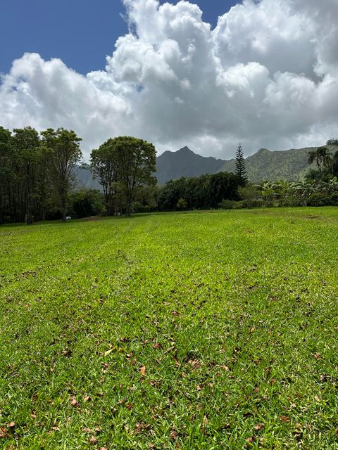 Tiny photo for Halaulani Rd, Kilauea, HI 96754 (MLS # 724487)