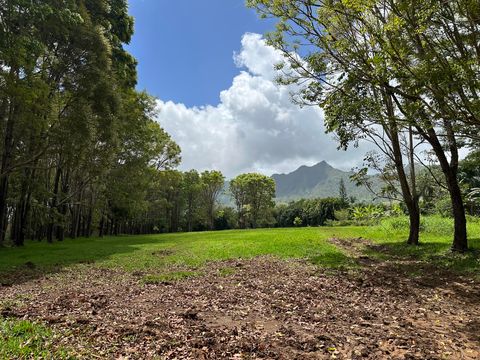 Tiny photo for Halaulani Rd, Kilauea, HI 96754 (MLS # 724487)