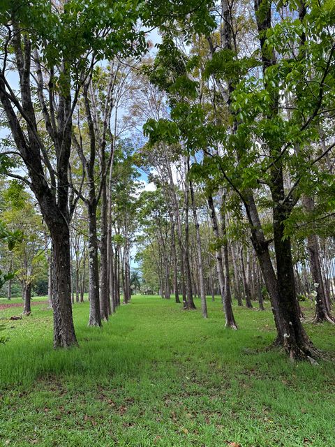 Tiny photo for Halaulani Rd, Kilauea, HI 96754 (MLS # 724487)