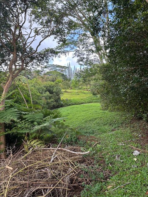 Tiny photo for Halaulani Rd, Kilauea, HI 96754 (MLS # 724487)
