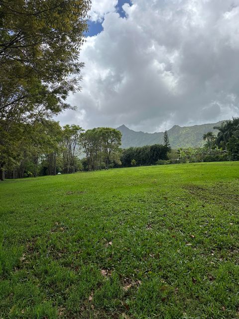 Photo of Halaulani Rd, Kilauea, HI 96754 (MLS # 724487)