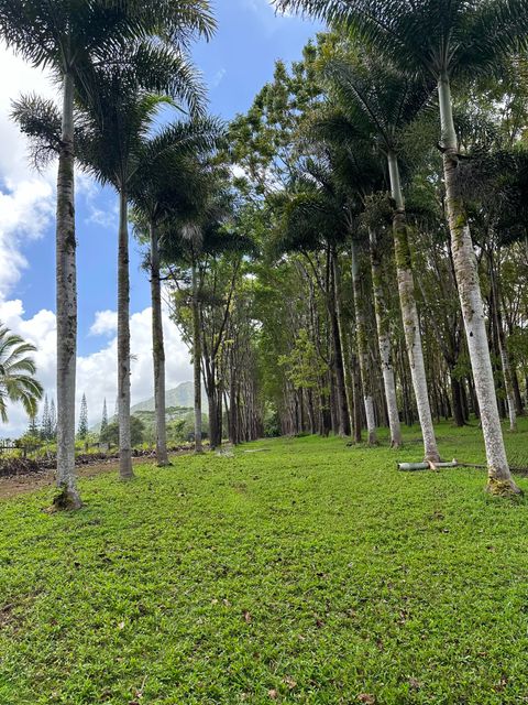 Tiny photo for Halaulani Rd, Kilauea, HI 96754 (MLS # 724487)